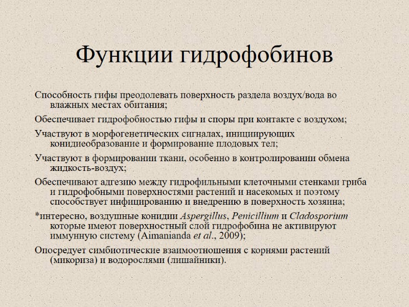 Функции гидрофобинов Способность гифы преодолевать поверхность раздела воздух/вода во влажных местах обитания; Обеспечивает гидрофобностью